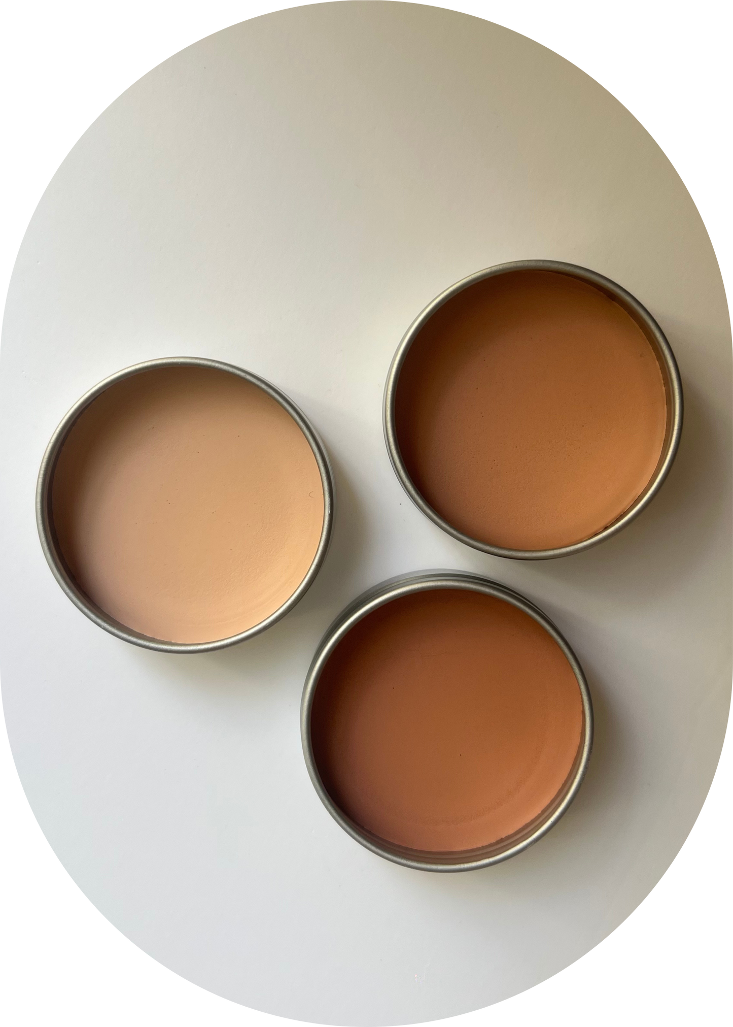The All In One Foundation - Base de Maquillaje con Células Madre de Plantas