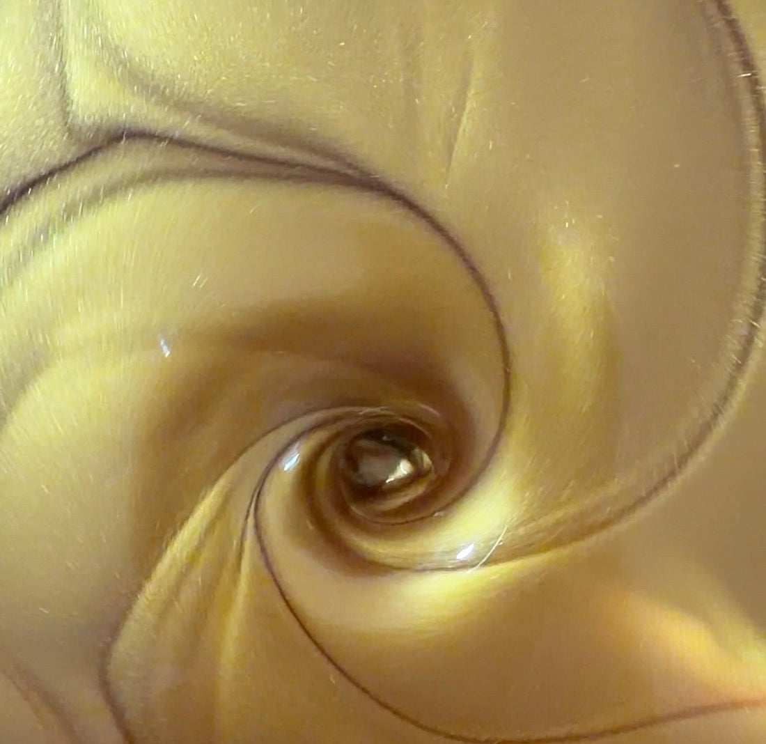 BIOFERMENTOS: CIENCIA VIVA. SKINCARE VIVO.